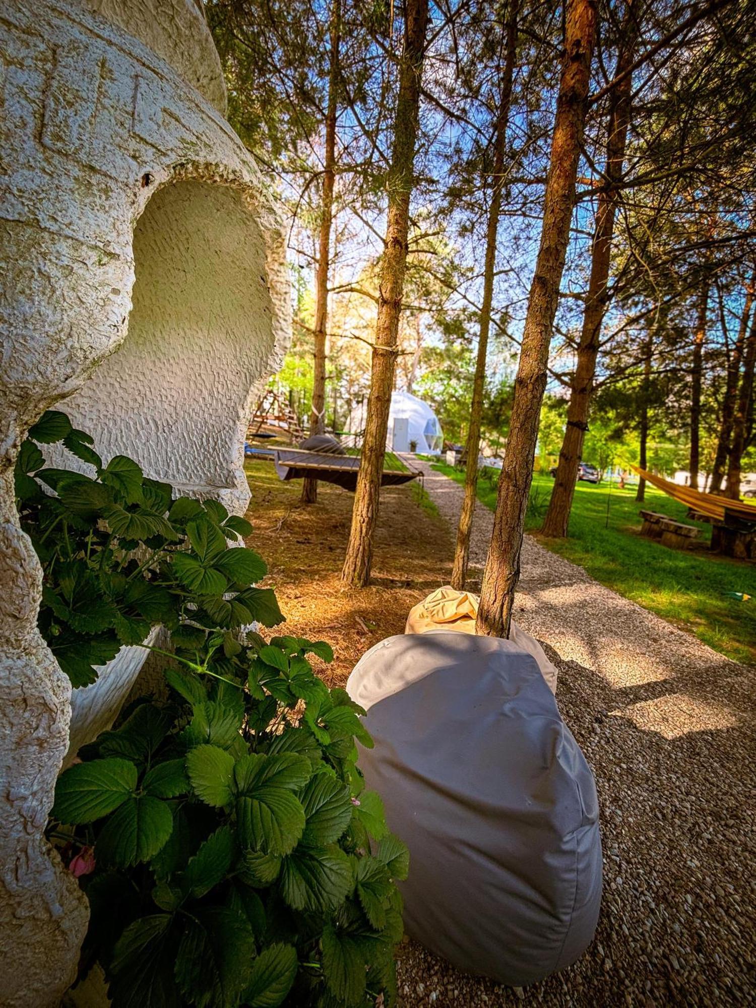Glamping Pod Orlem Hotel Cedynia Eksteriør billede