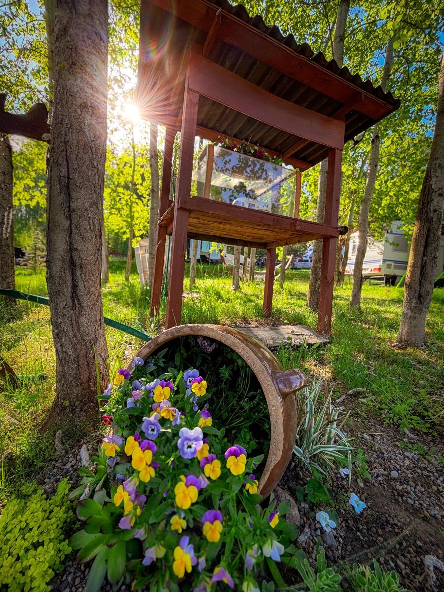 Glamping Pod Orlem Hotel Cedynia Eksteriør billede